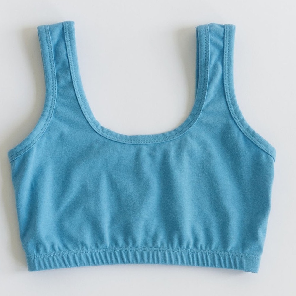 BNWT ARQ full coverage bra in CORNFLOWER size L